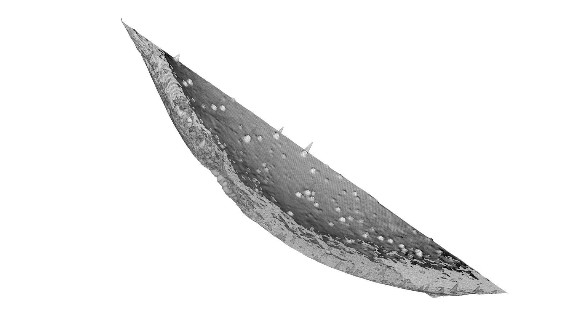 Fish Head Nebula 3D model_9