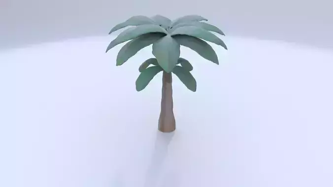 Palm