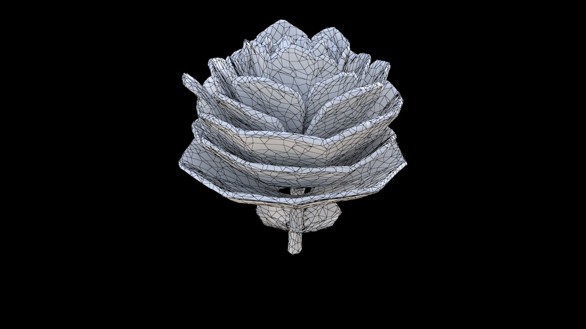 Rose 3D model_6