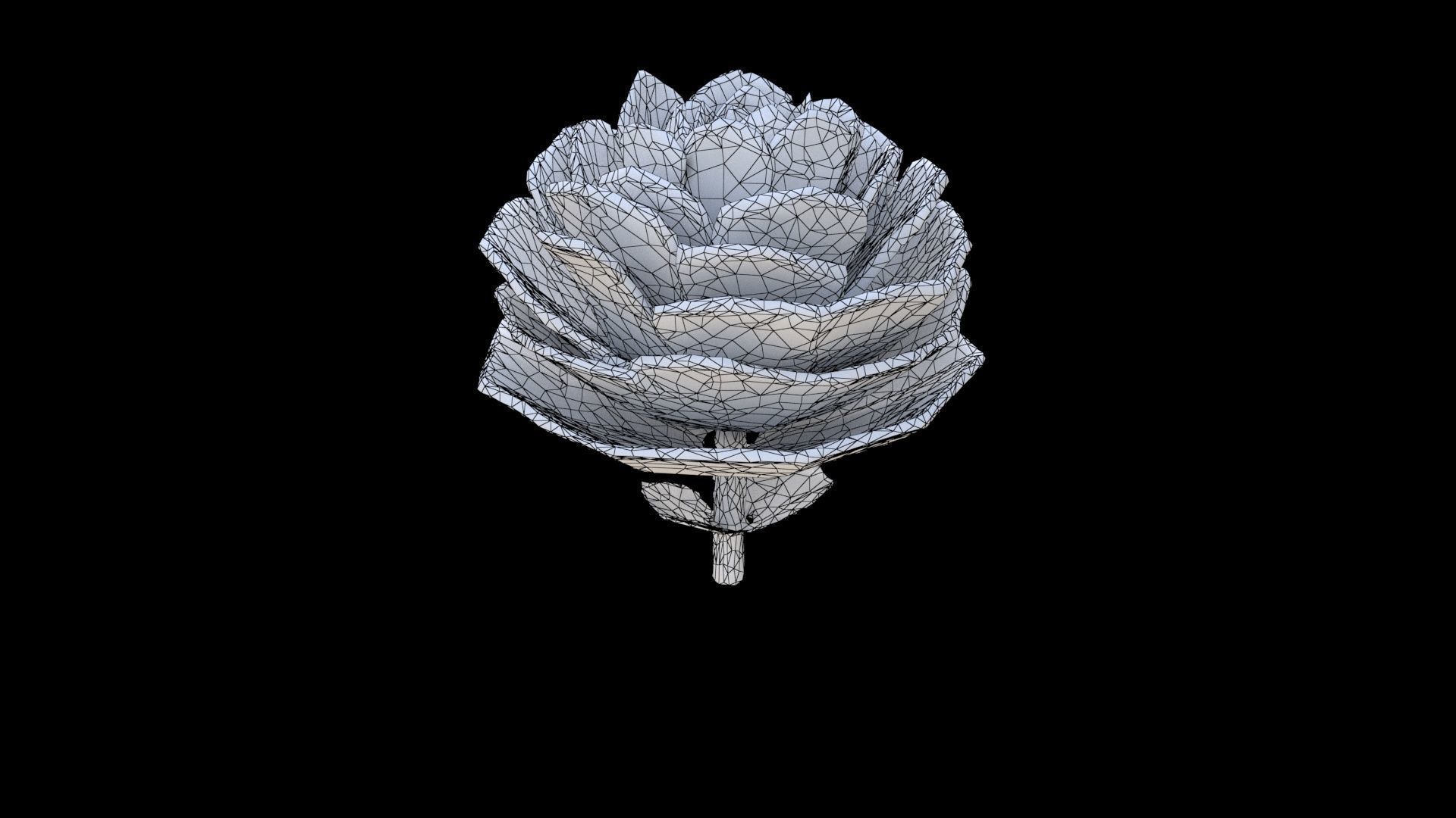 Rose 3D model_5