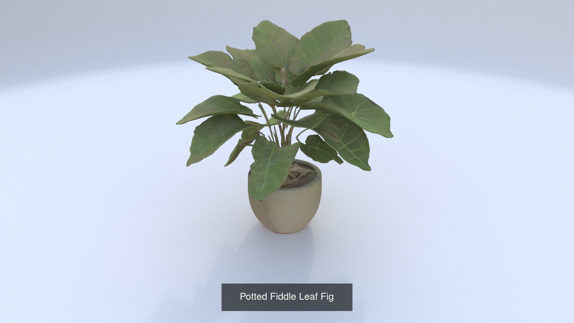 6 3D models of stylised Plant collection _3