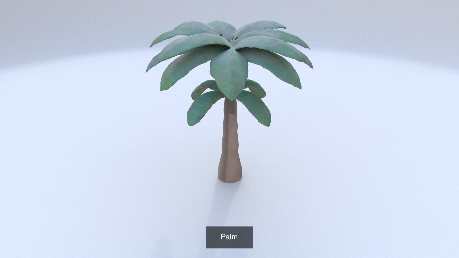 6 3D models of stylised Plant collection _2