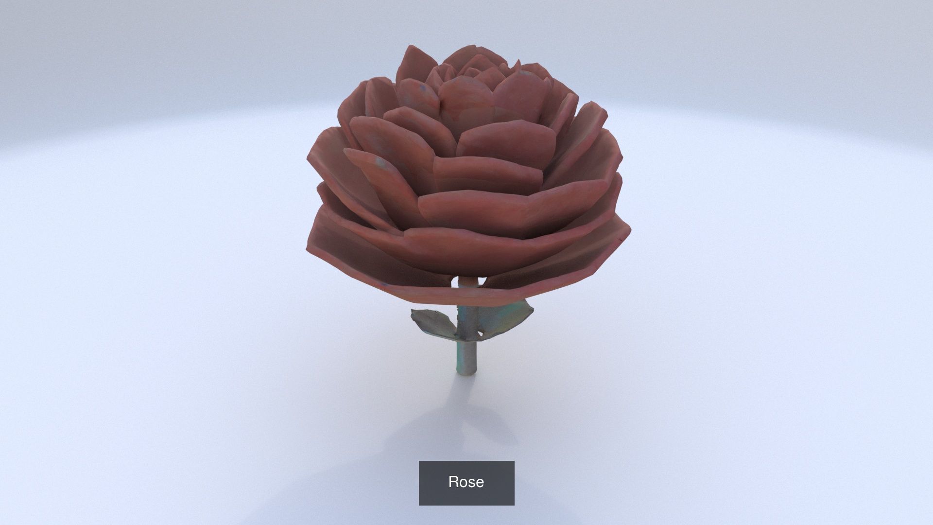 6 3D models of stylised Plant collection _6