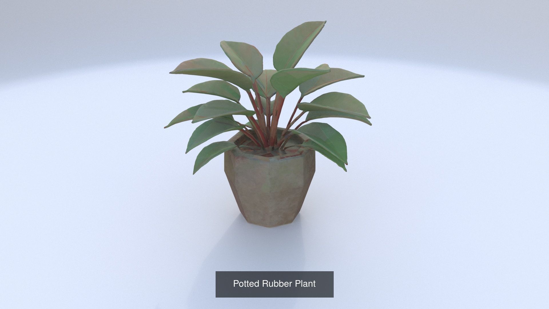 6 3D models of stylised Plant collection _4