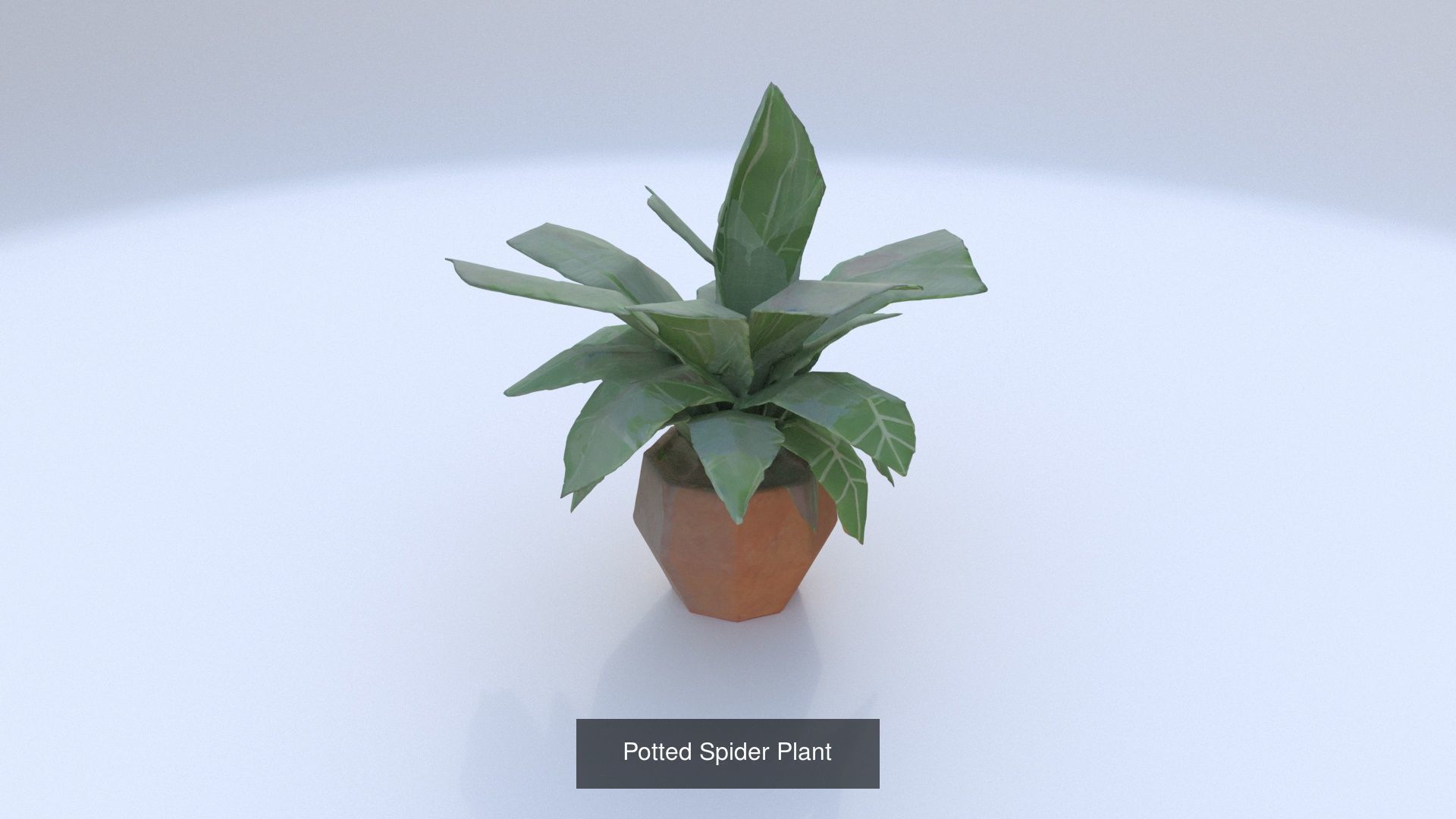 6 3D models of stylised Plant collection _5