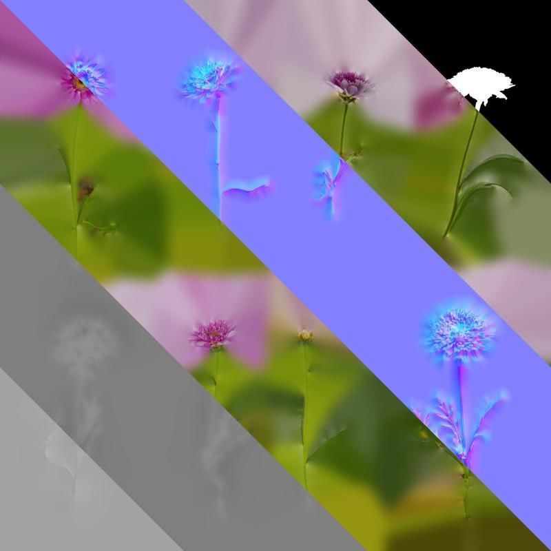 Anydrafts Argyranthemum frutescens Atlas 13 Texture_8