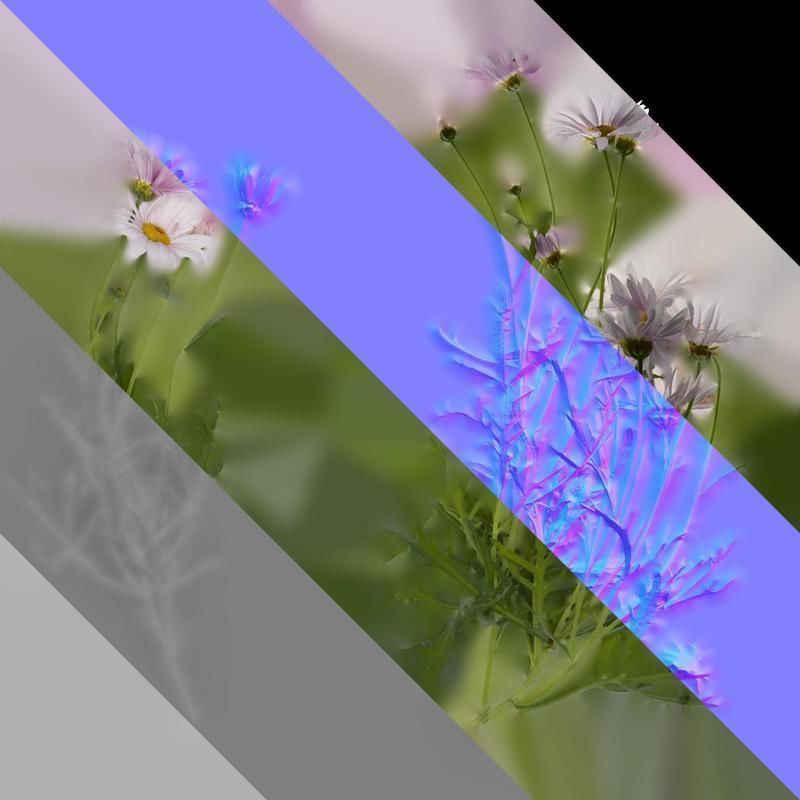 Anydrafts Argyranthemum frutescens Atlas 14 Texture_8