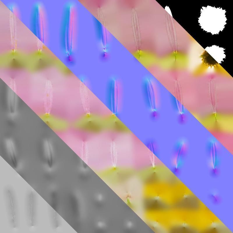 Anydrafts Argyranthemum frutescens Flower 04 Texture_8