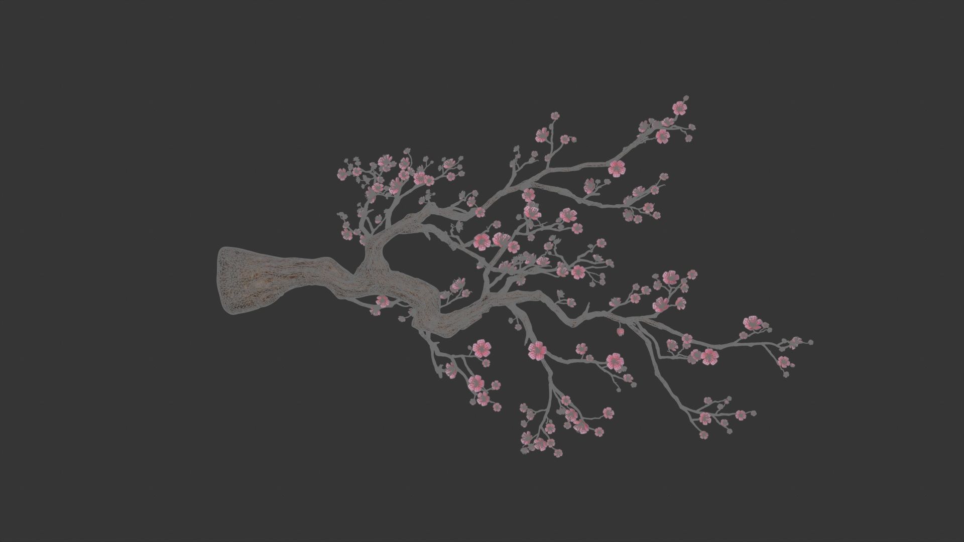 plum Blossom 3D model_2