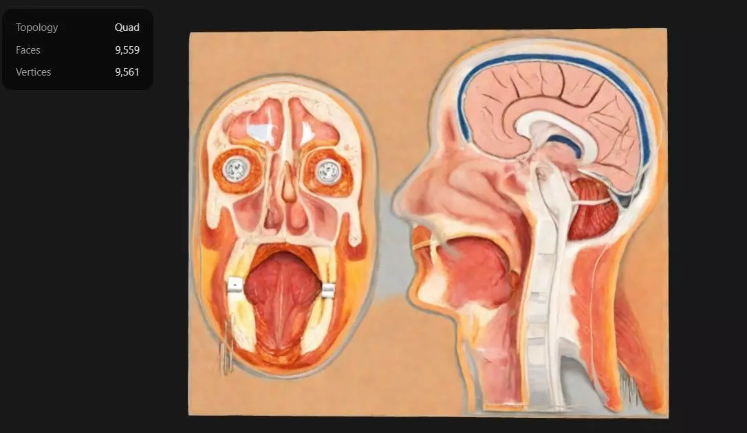 3D Model of Median and Frontal Section Of The Human Head Anatomy 3D print model_0