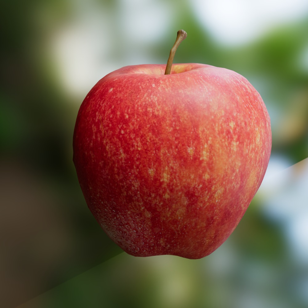 Apple realistic 3d model  3D model_2