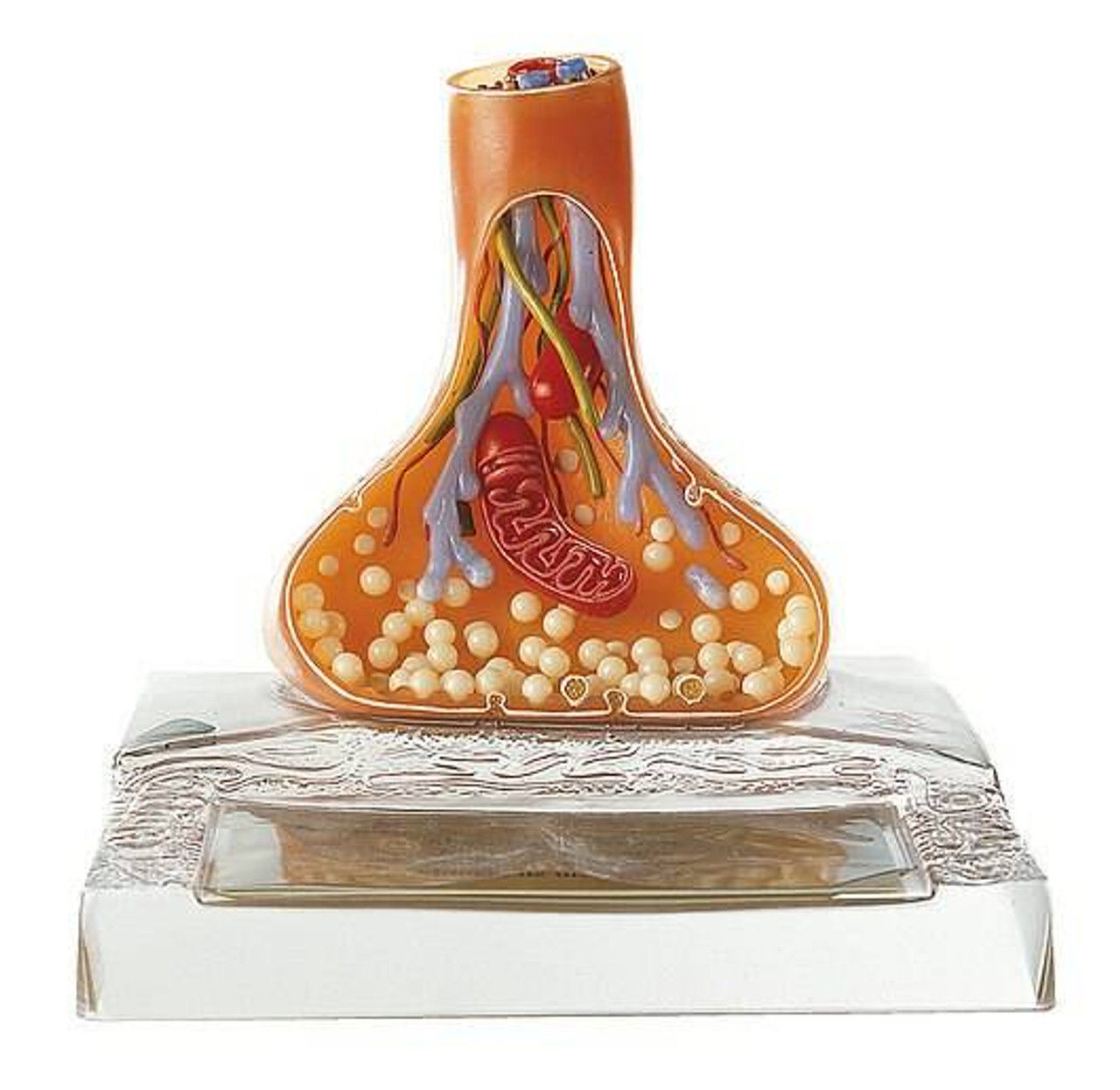 3D Model of Synapse 3D print model_4