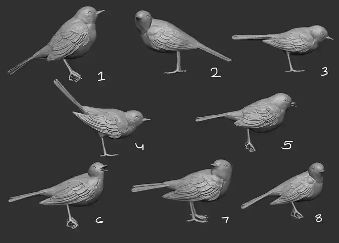 8 birds models 3D print model