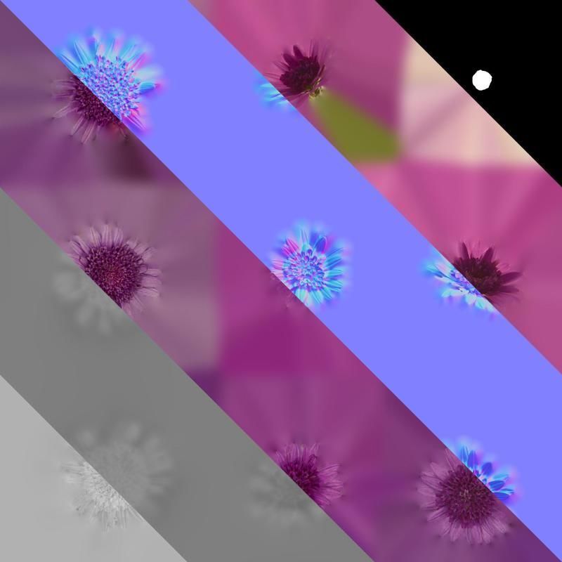 Anydrafts Argyranthemum frutescens Flower 14 Texture_8