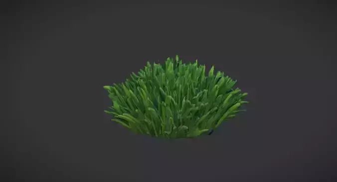 Stylized Grass low poly