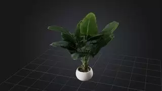 Indoor Plant 3D model_0