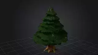 Spruce tree