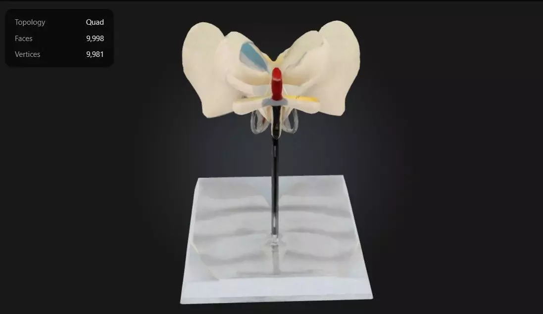 3D Model of Cervical Vertebrae with Spinal Cord and Nerves 3D print model_0