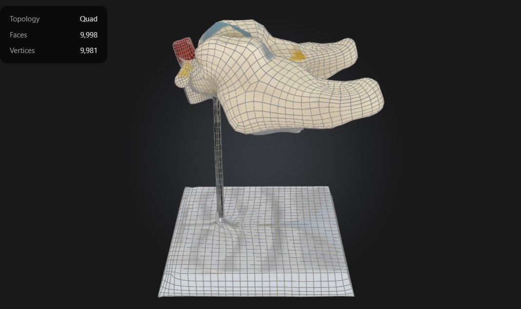 3D Model of Cervical Vertebrae with Spinal Cord and Nerves 3D print model_3