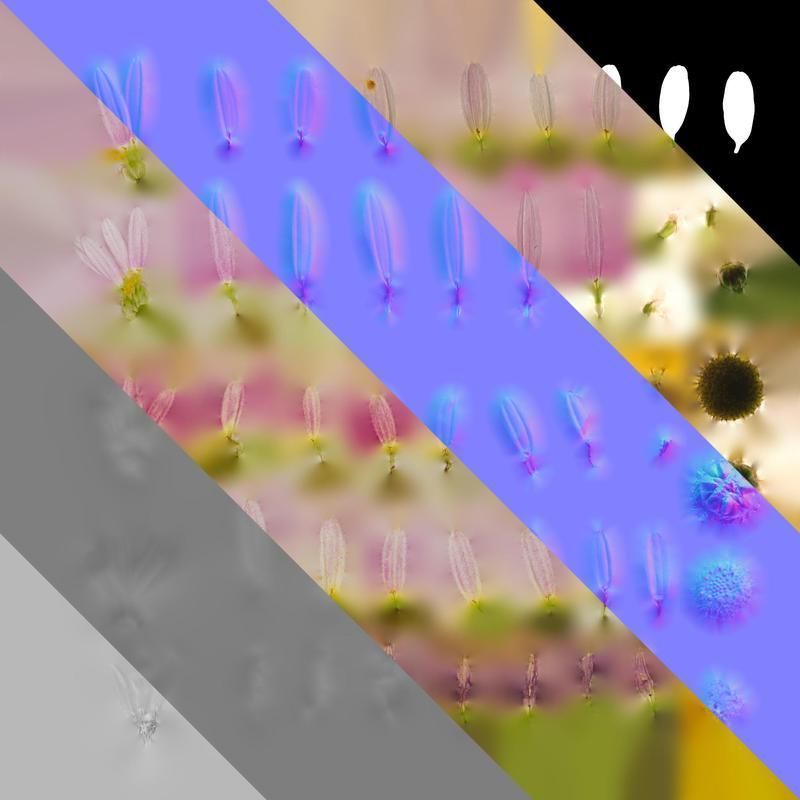 Anydrafts Argyranthemum frutescens Flower 19 Texture_8