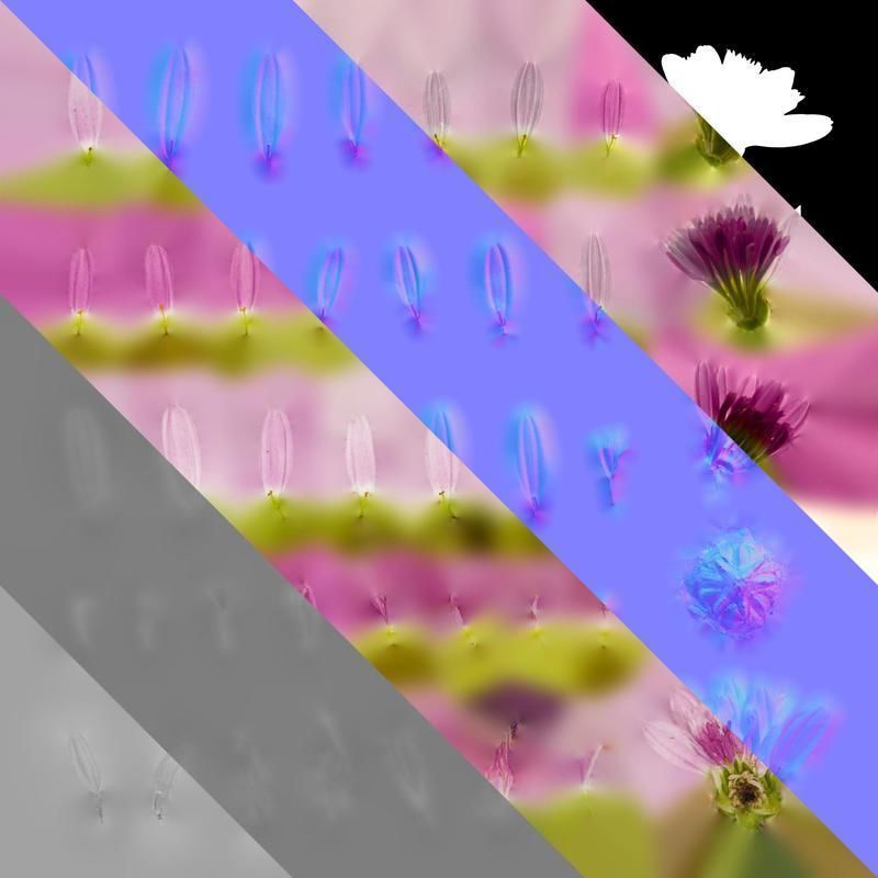 Anydrafts Argyranthemum frutescens Flower 21 Texture_8