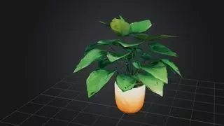 Indoor Stylized Plant 3D model_0