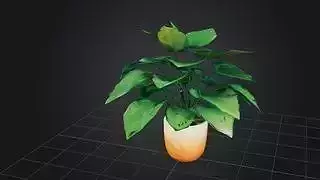 Indoor Stylized Plant 