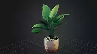 Indoor Stylized Plant