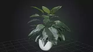 Indoor Stylized Plant