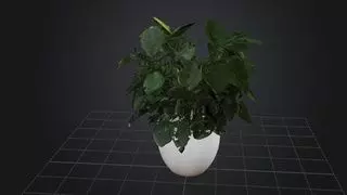 Indoor Stylized Plant 3D model_0