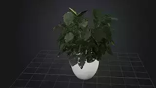 Indoor Stylized Plant