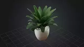 Indoor Stylized Plant