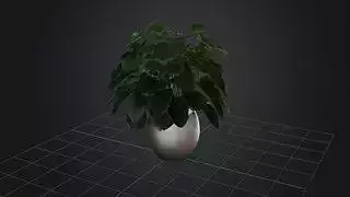 Indoor Stylized Plant