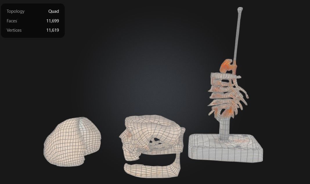 3D Model of Human Skull Anatomy Model On Cervical Spine 3D print model_8