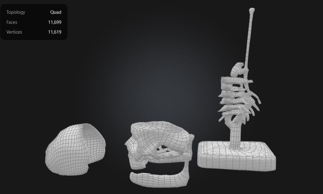 3D Model of Human Skull Anatomy Model On Cervical Spine 3D print model_9
