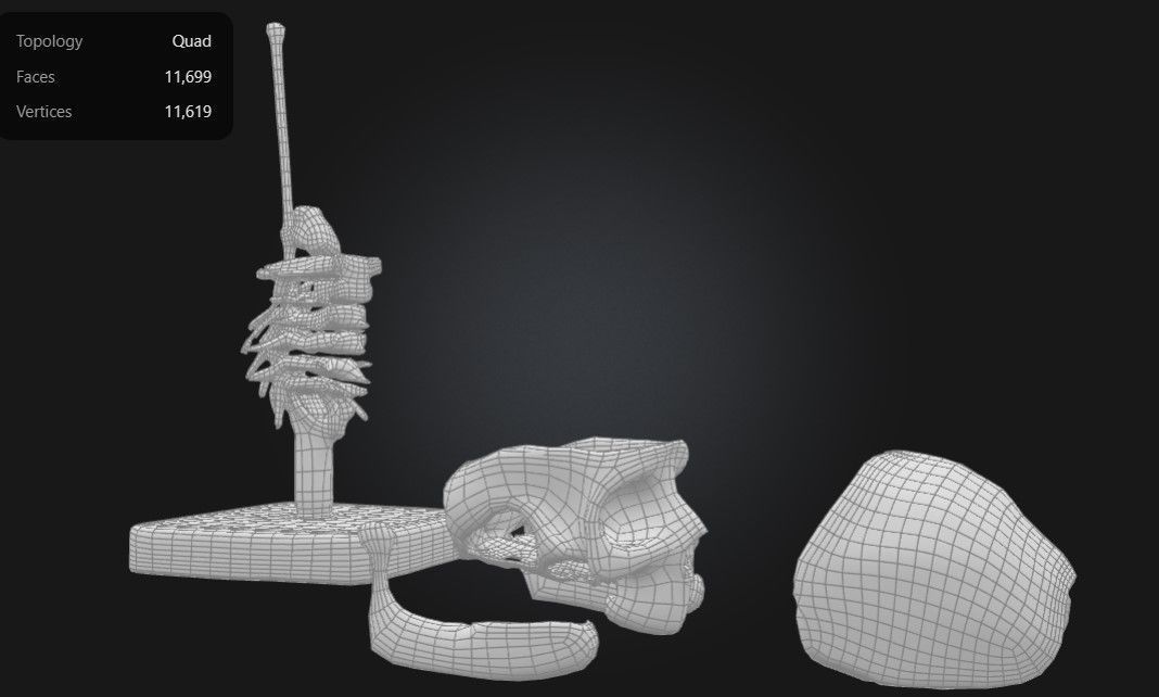 3D Model of Human Skull Anatomy Model On Cervical Spine 3D print model_6