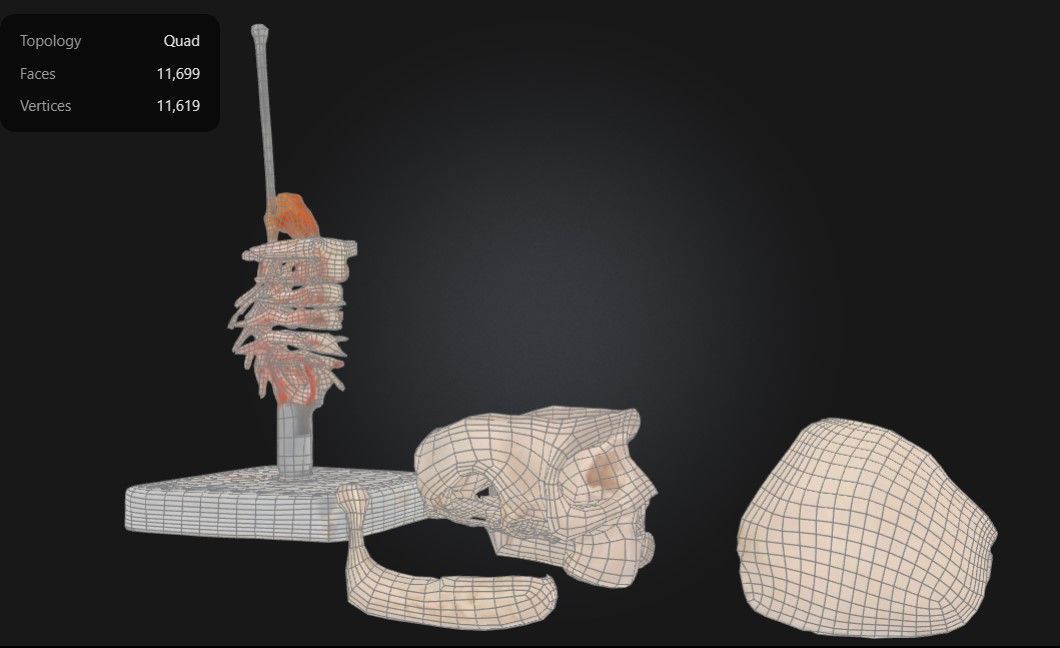 3D Model of Human Skull Anatomy Model On Cervical Spine 3D print model_11