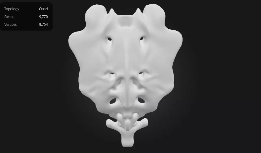 3D Model of Sacrum 3D print model