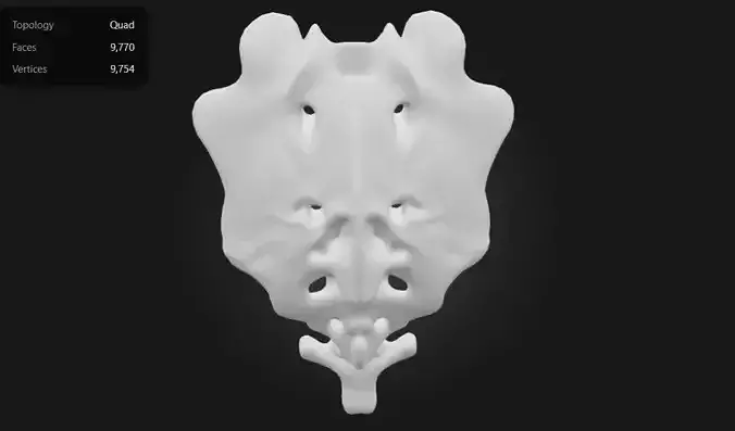 3D Model of Sacrum