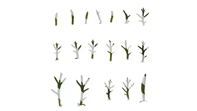 Anydrafts Argyranthemum frutescens Leaf 03