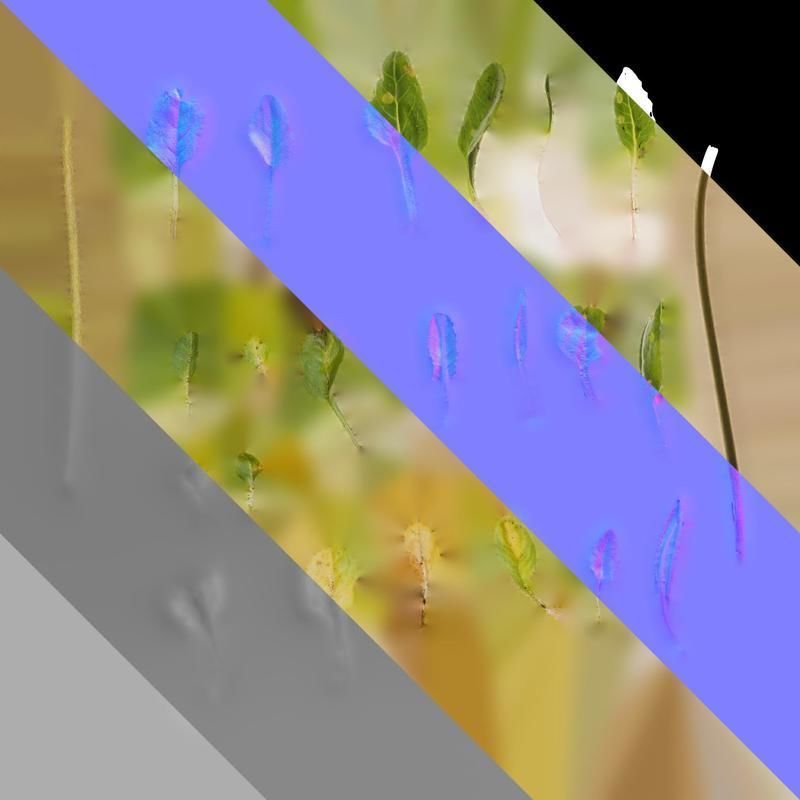 Anydrafts Aster alpinus Leaf 02 Texture_8