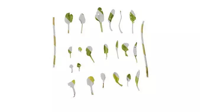 Anydrafts Aster alpinus Leaf 02