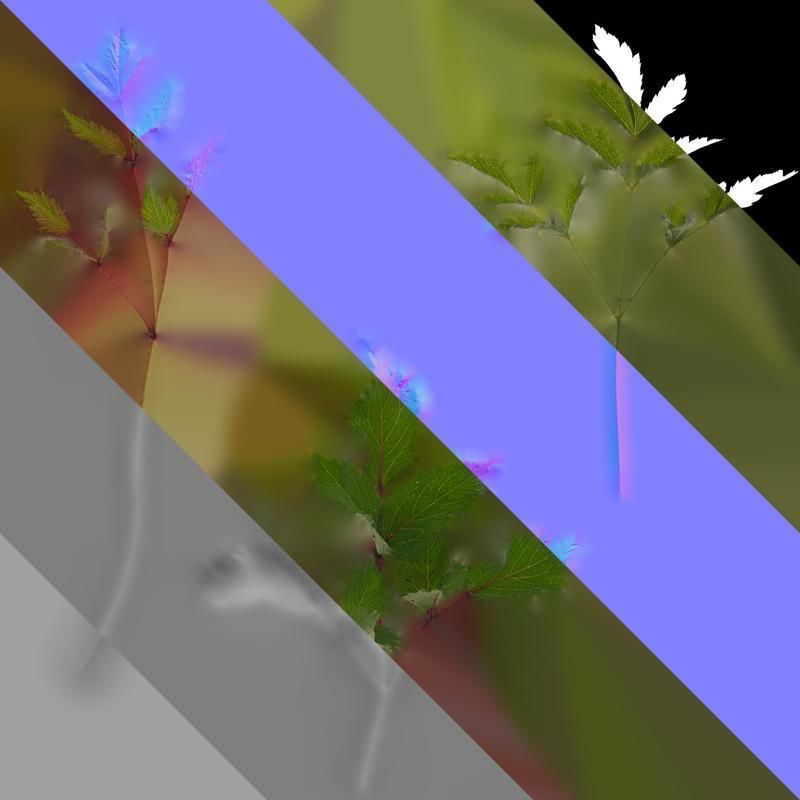 Anydrafts Astilbe chinensis Atlas 04 Texture_8