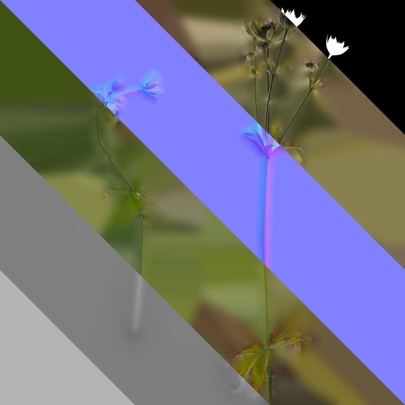 Anydrafts Astrantia major Atlas 01 Texture_8