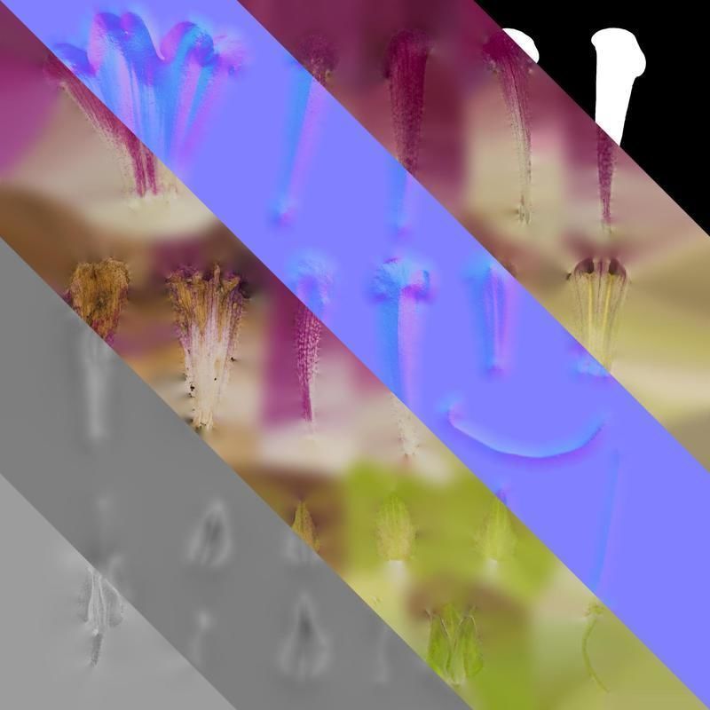 Anydrafts Azarina Flower 01 Texture_8