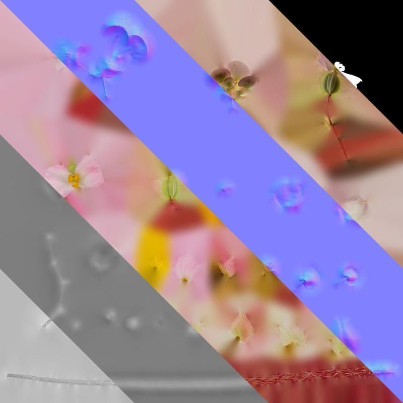 Anydrafts Begonia deco daddy Flower 01 Texture_8