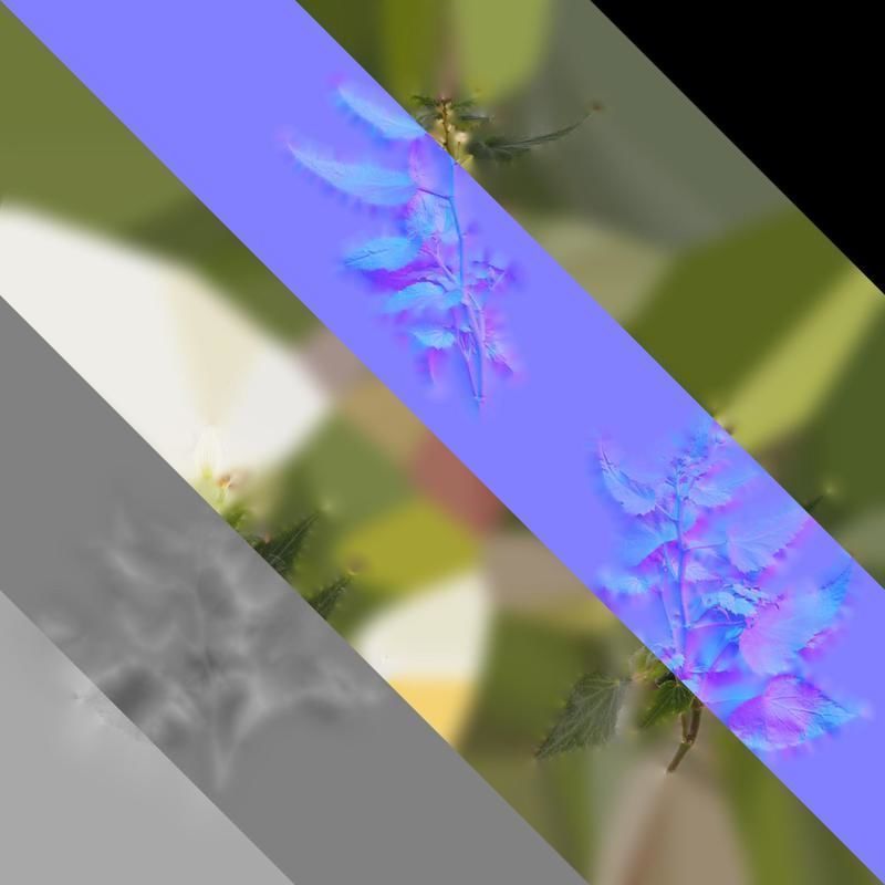 Anydrafts Begonia x tuberhybrida Atlas 01 Texture_8