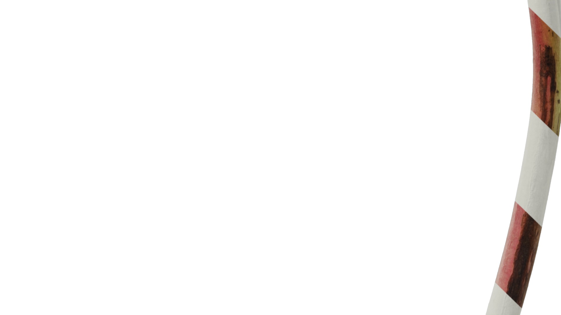 Anydrafts Bergenia purpurascens Atlas 01 Texture_5