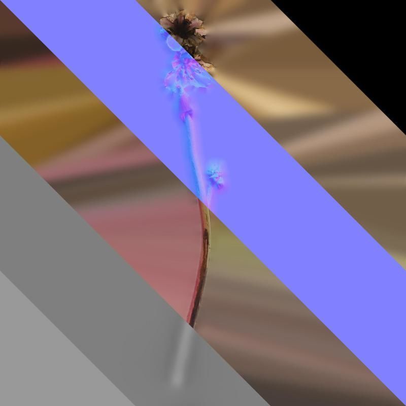 Anydrafts Bergenia purpurascens Atlas 01 Texture_8