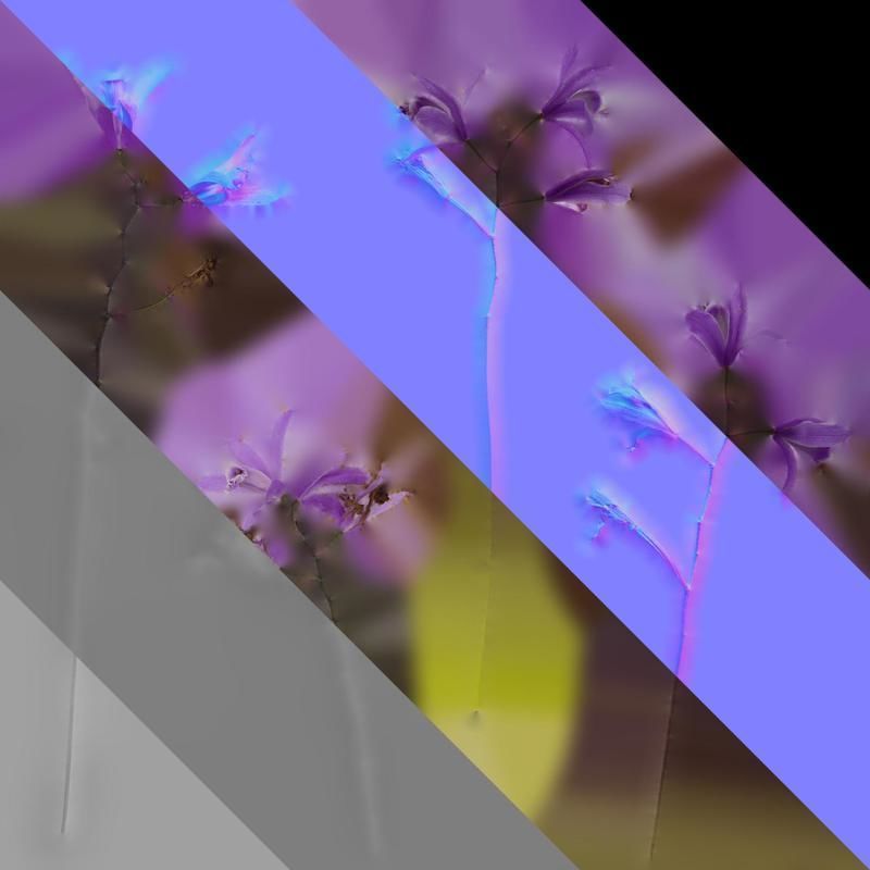 Anydrafts Bletilla striata Flower 03 Texture_8